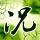 克拉2气田再添“百亿方”高产井